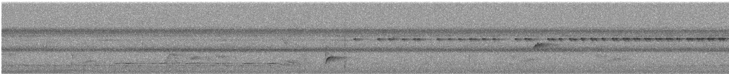 Plain-winged Antshrike - ML645692610