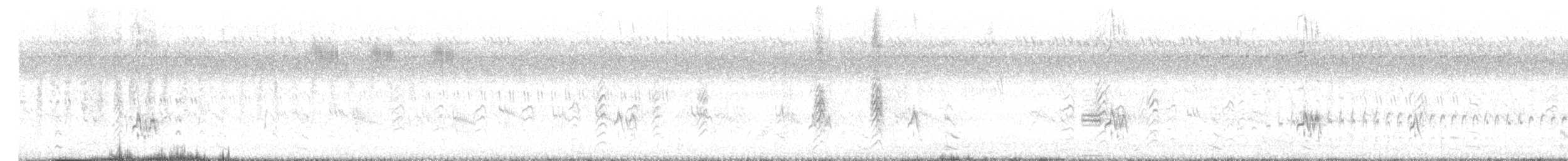 Ashy Woodswallow - ML645692760