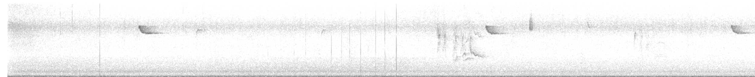 Purple Finch (Eastern) - ML645693429