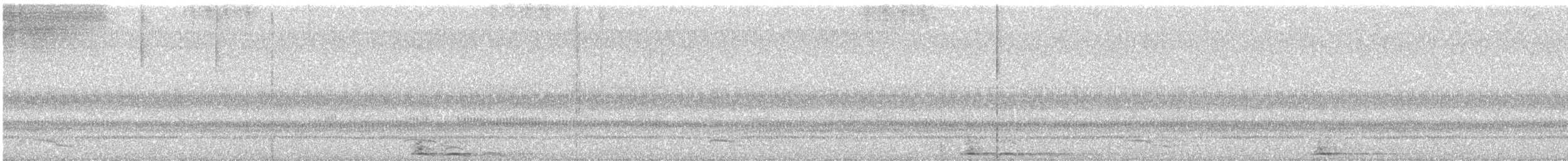 Common Pauraque - ML645693546