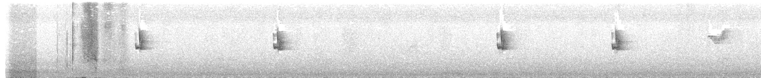 Alström's Warbler - ML645693809