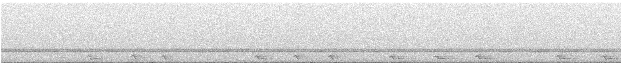 Western Screech-Owl - ML645693844