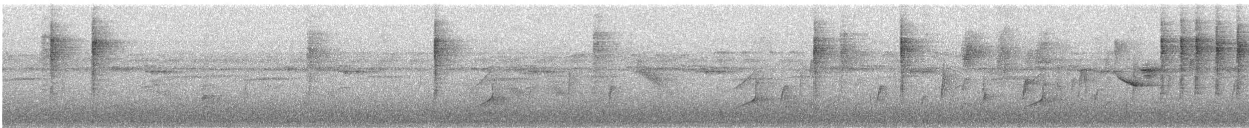 Black-and-white Warbler - ML645695112