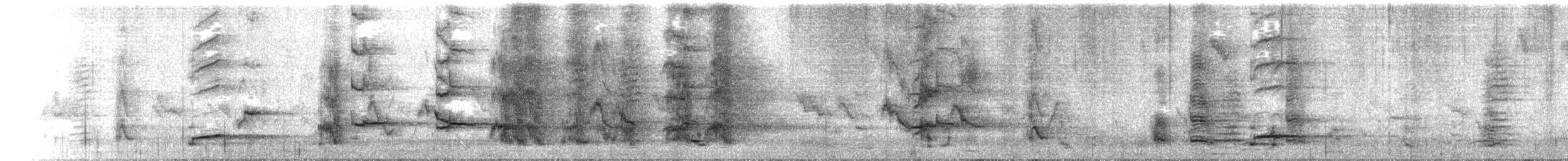 Cape Parrot - ML645695358