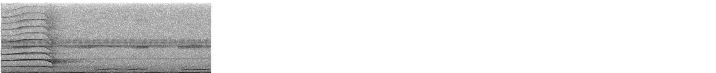 Barred Owl - ML645695370