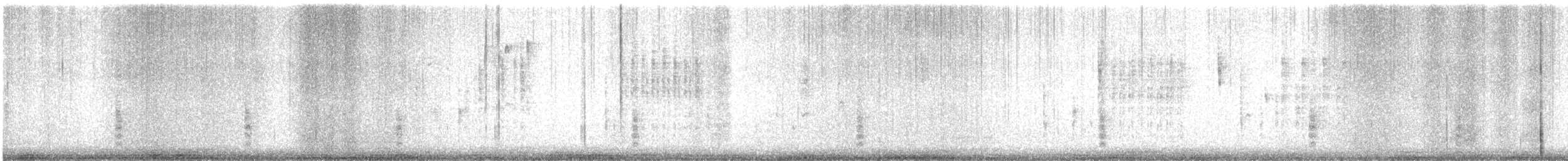 Common Grackle - ML645695632