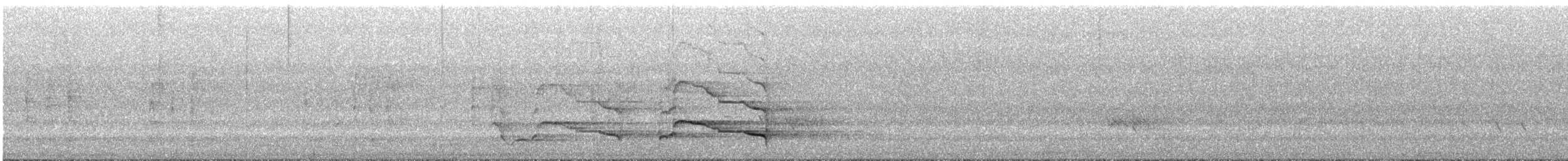 Carnaby's Black-Cockatoo - ML645695702