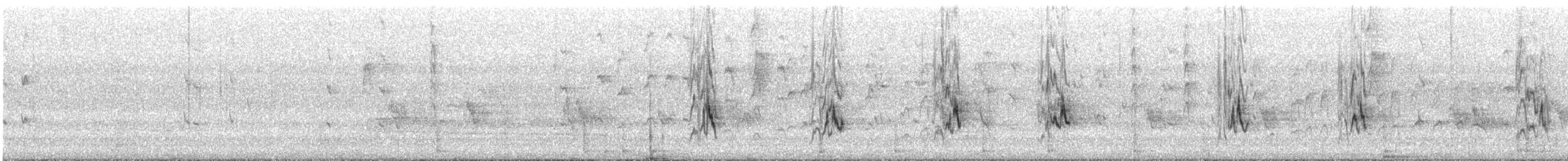 Western Spinebill - ML645695727