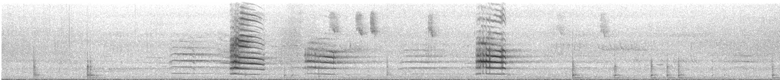 Red-tailed Black-Cockatoo - ML645695737