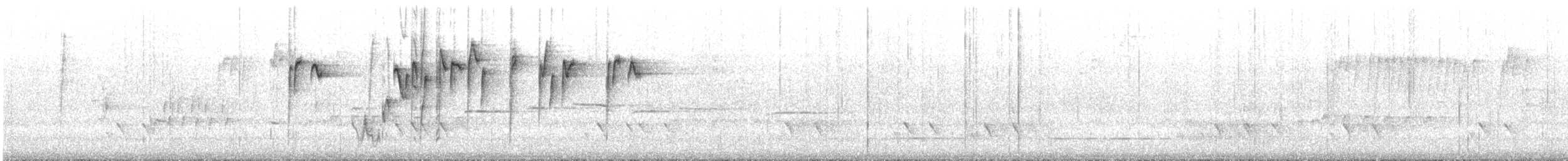 Western Thornbill - ML645696017