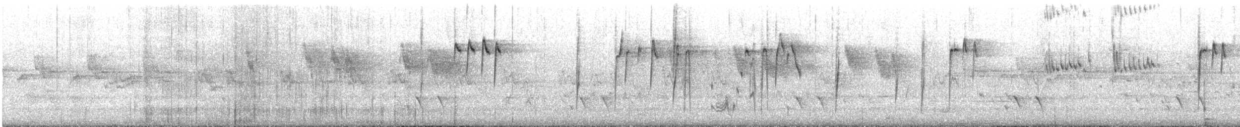 Western Thornbill - ML645696018