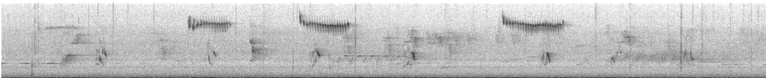 Splendid Fairywren - ML645696094