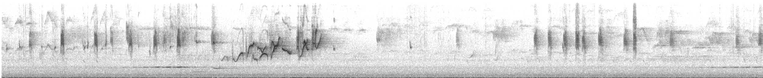 Séricorne à bec court - ML645696308