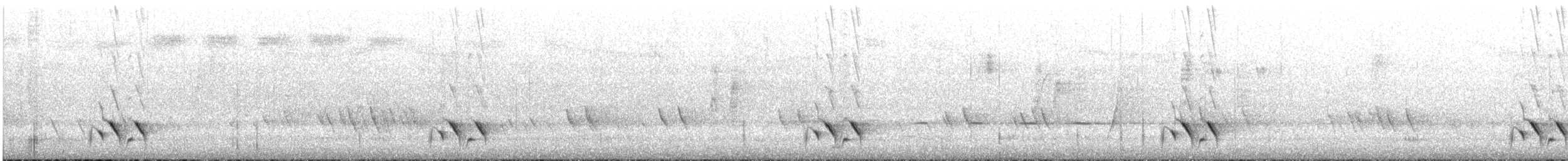 Pardalote à point jaune (substriatus) - ML645696314