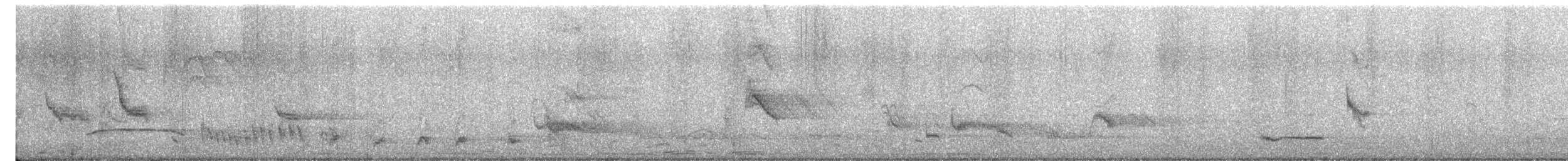 Moqueur à longue queue - ML645696323