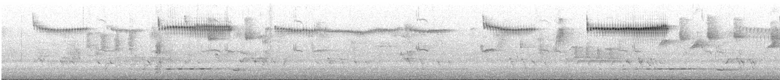 Mérion splendide - ML645696325