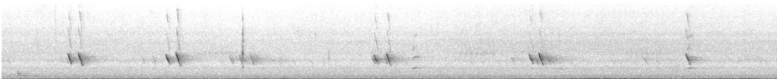 New Holland Honeyeater - ML645696382