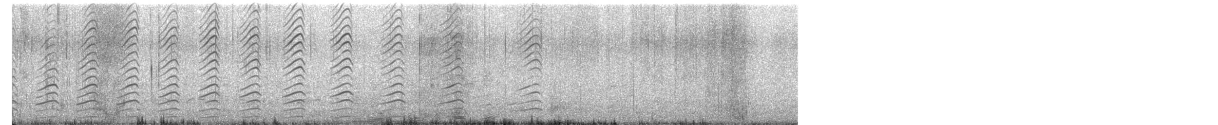 Belcher's Gull - ML645696400