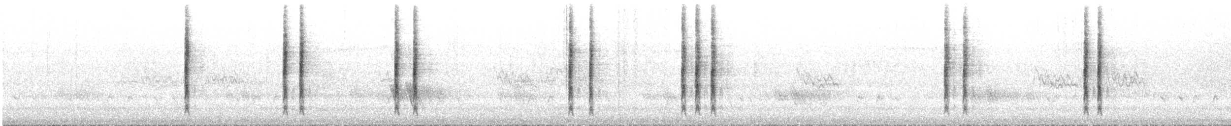 New Holland Honeyeater - ML645696410