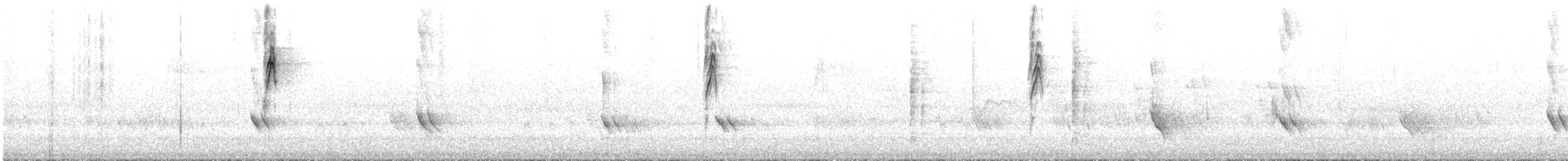 New Holland Honeyeater - ML645696435