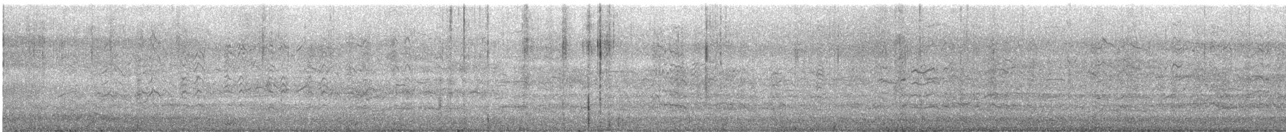 Gabbiano di Franklin - ML645696436