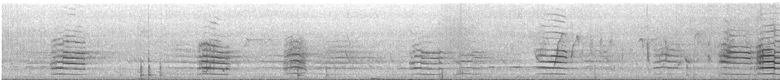 Краснохвостый траурный какаду - ML645696481