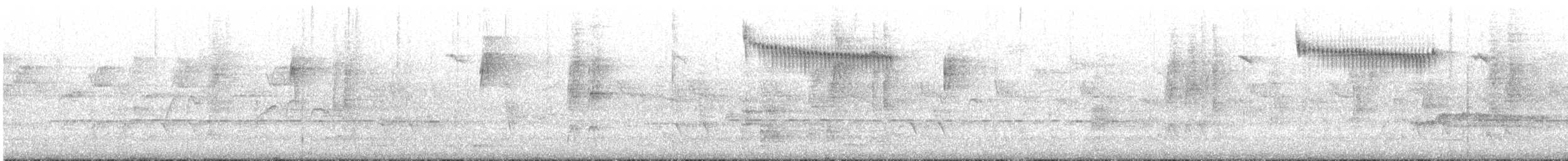 Splendid Fairywren - ML645696547