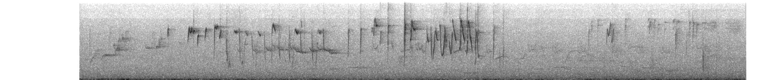 Western Thornbill - ML645696574