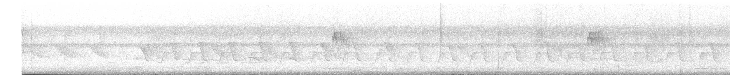 Luì verdastro - ML645696586