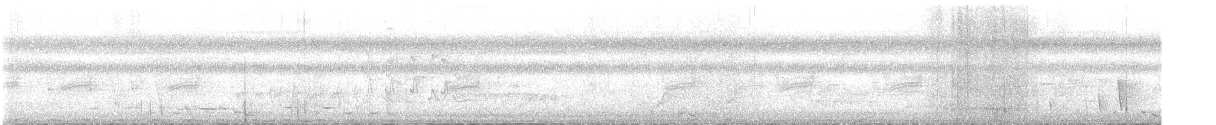 Pheasant Coucal - ML645696587