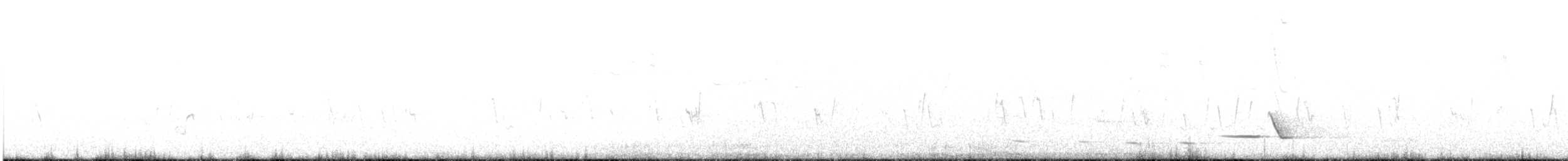 Gray Shrikethrush - ML645696621