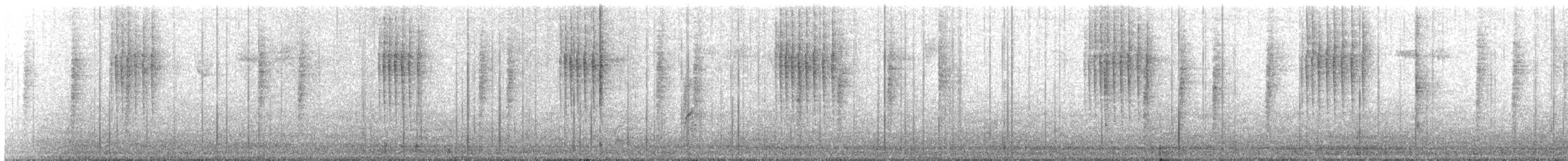 Pacific Wren - ML645696776