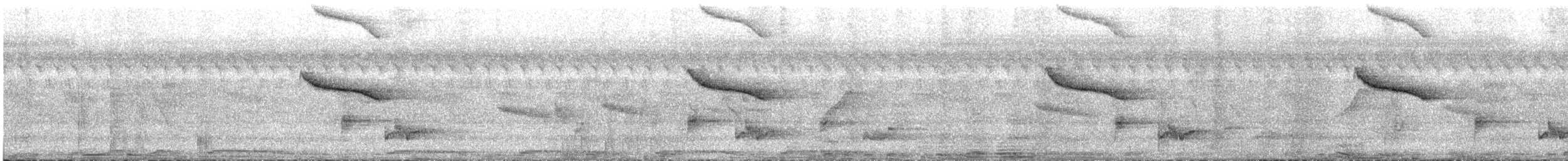 Oriental Magpie-Robin - ML645696816