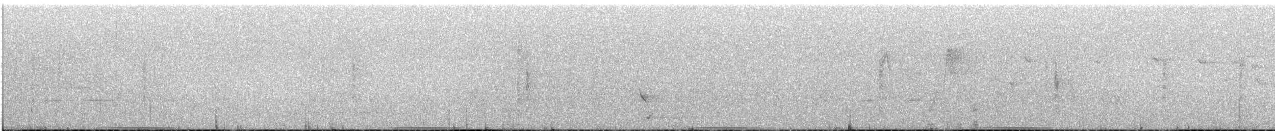 Common Bronzewing - ML645696891