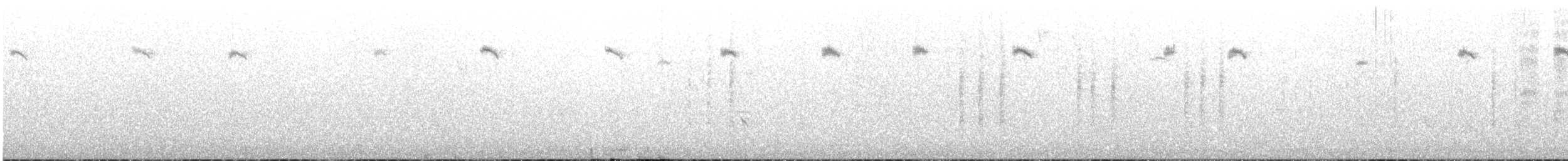 Maluro Espléndido - ML645696936