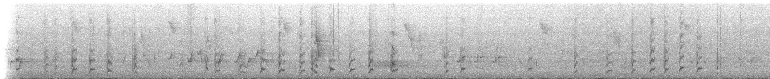 Perico de Port Lincoln - ML645696966