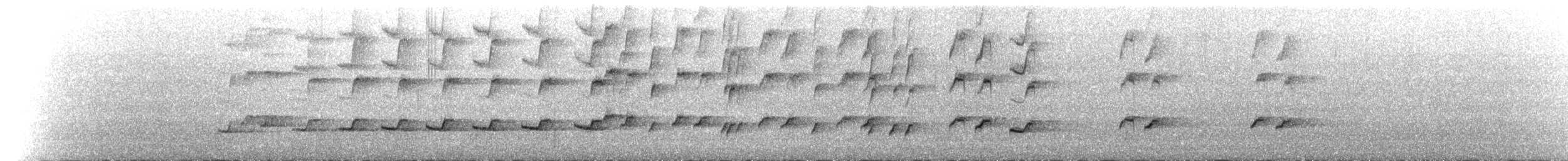 Perico de Port Lincoln - ML645696967