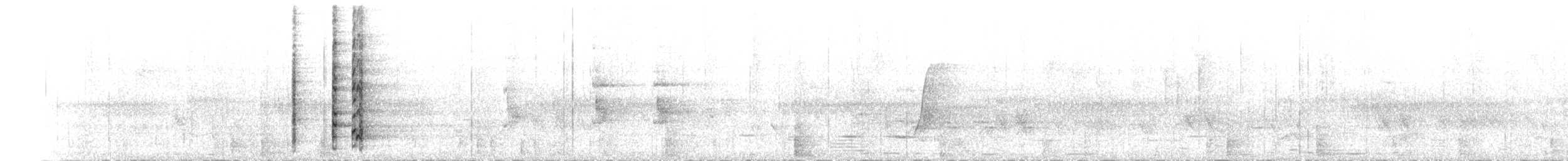 Mielero Lunulado - ML645696974