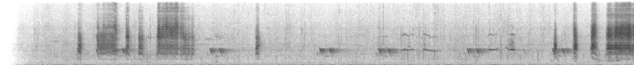 Petroica Pechigrís - ML645696984