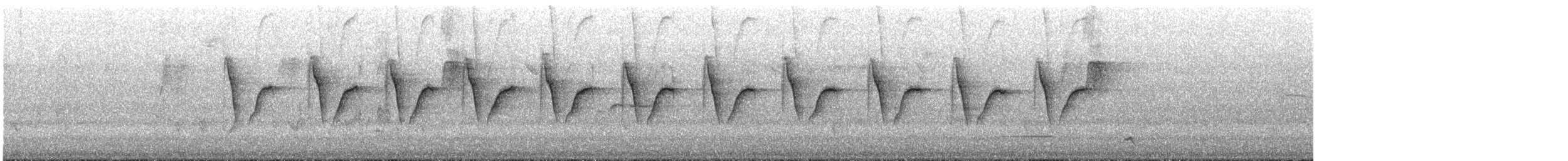 Sedosito Maculado - ML645696985