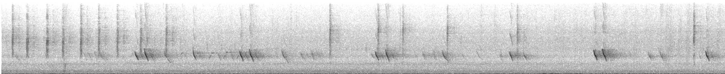 New Holland Honeyeater - ML645697096