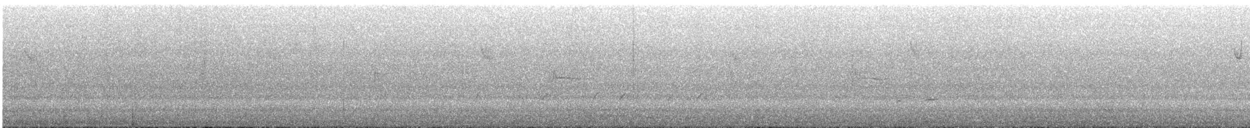 Red-winged Fairywren - ML645697139