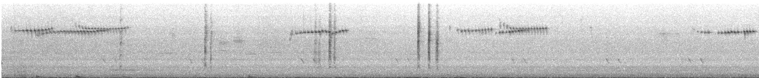 Splendid Fairywren - ML645697141