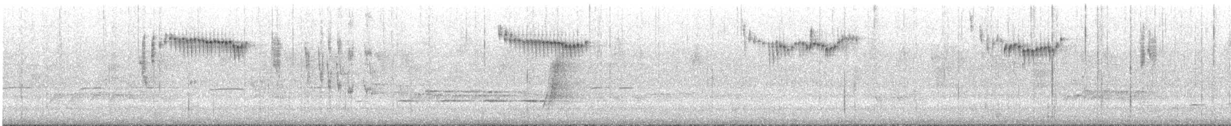 Splendid Fairywren - ML645697147