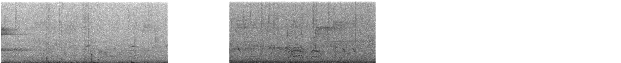 Australian Owlet-nightjar - ML645697150