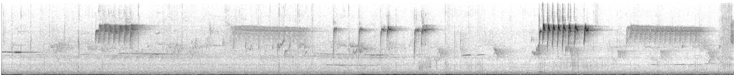 Western Thornbill - ML645697170