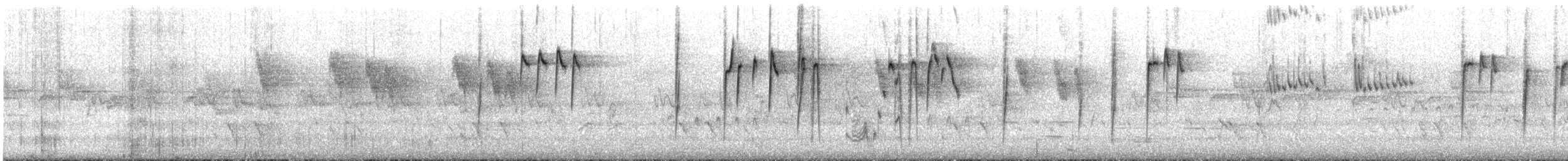 Western Thornbill - ML645697171
