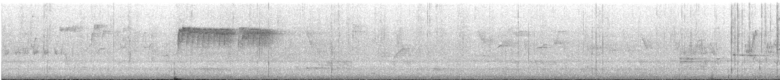 Western Thornbill - ML645697172