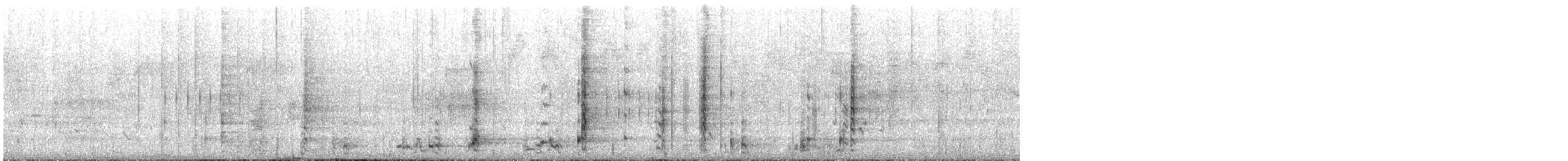 Western Wattlebird - ML645697181