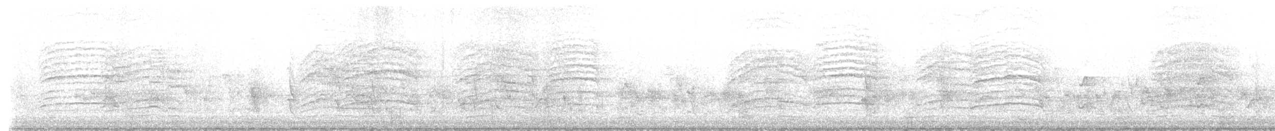 Black Bulbul - ML645697377